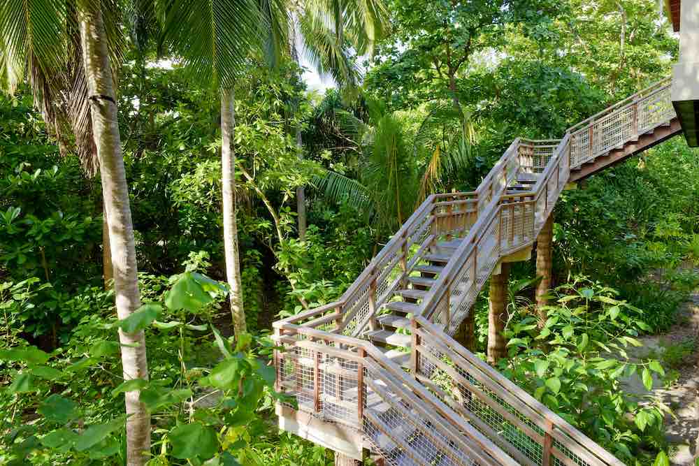 Treetop Pool Villa photo 5